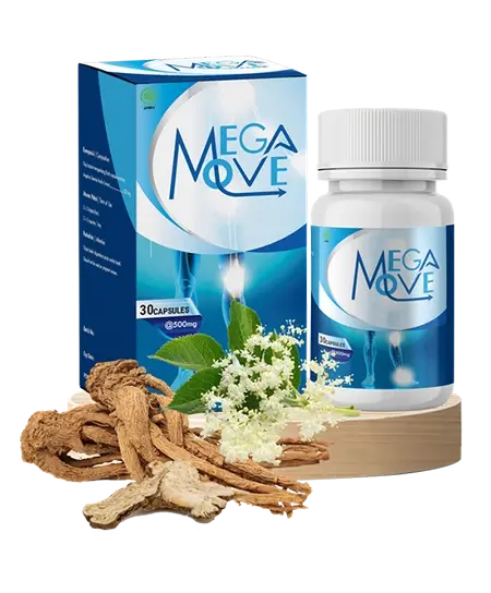 kapsul Megamove